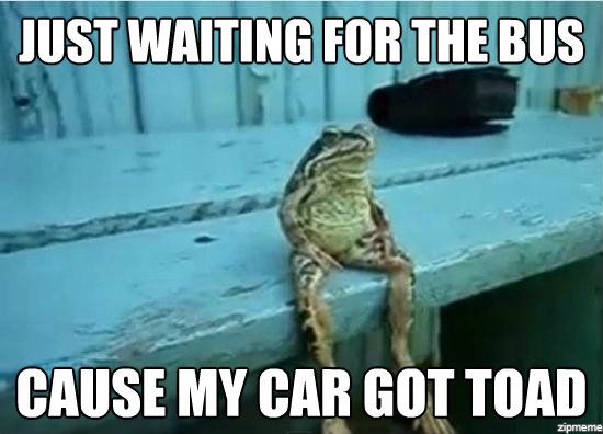 my-car-got-toad-pun